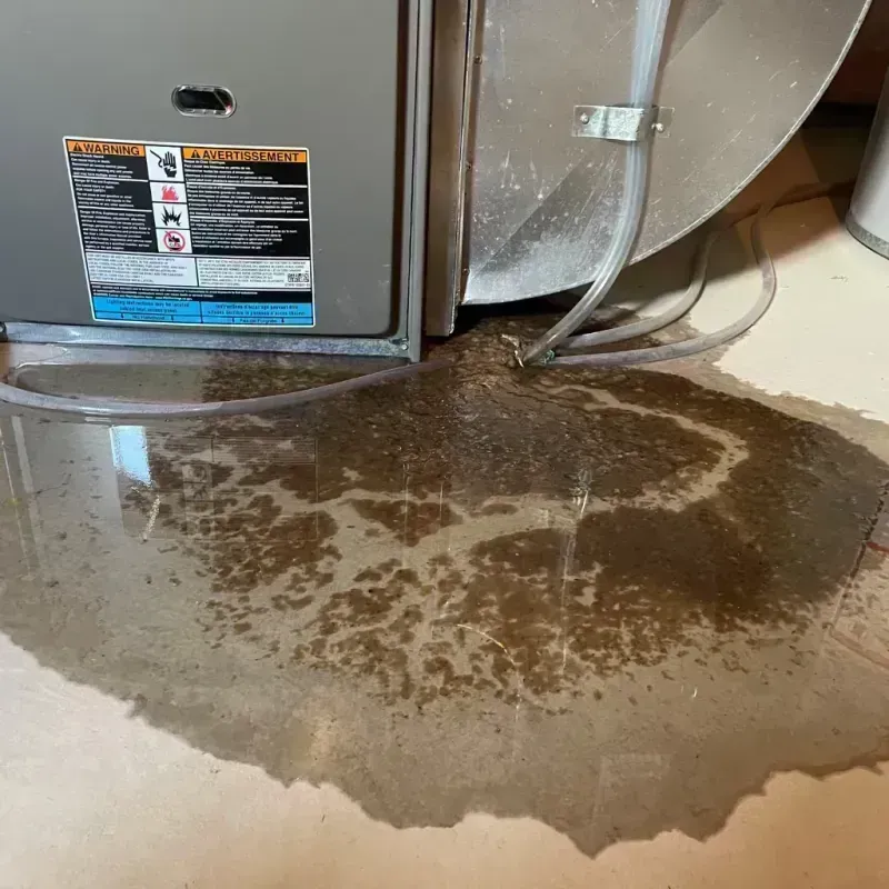 Appliance Leak Cleanup in Pingree Grove, IL